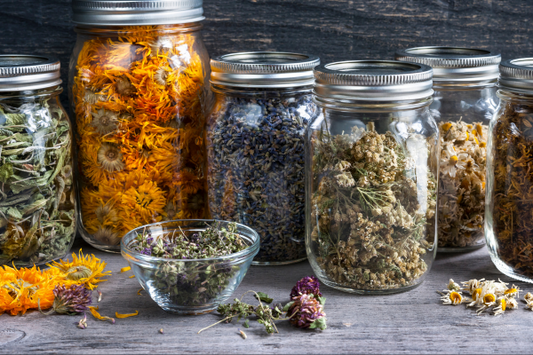 How to use herbs for horses (zoopharmacognosy)
