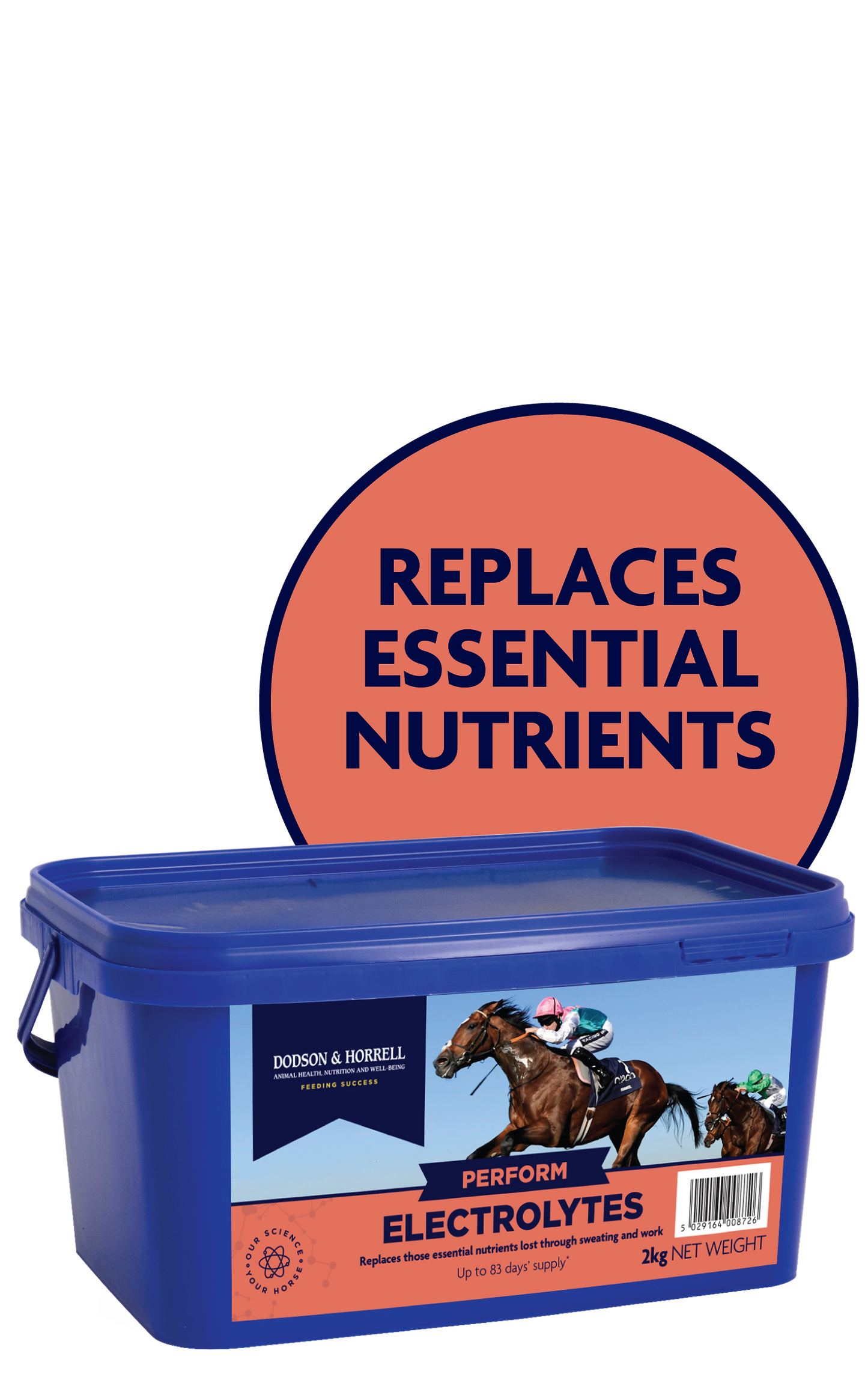 Dodson & Horrell Electrolytes 2kg