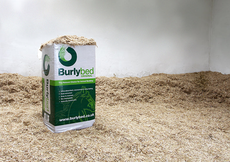 Burly Bed Original (Miscanthus)