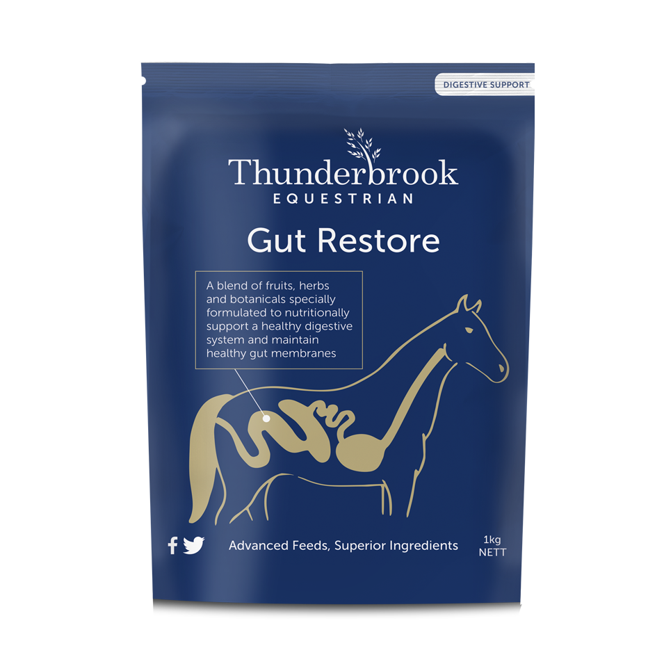Thunderbrook Equestrian Gut Restore 1kg