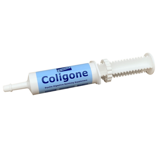 Coligone Oral Syringe - Digestive and Gastro-intestinal Supplement Paste