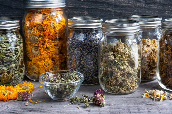 How to use herbs for horses (zoopharmacognosy)