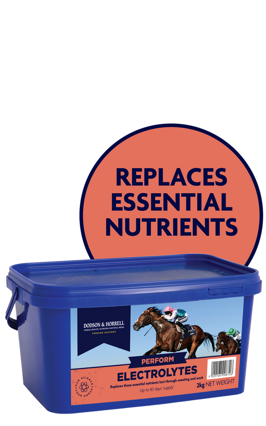 Dodson & Horrell Electrolytes 2kg
