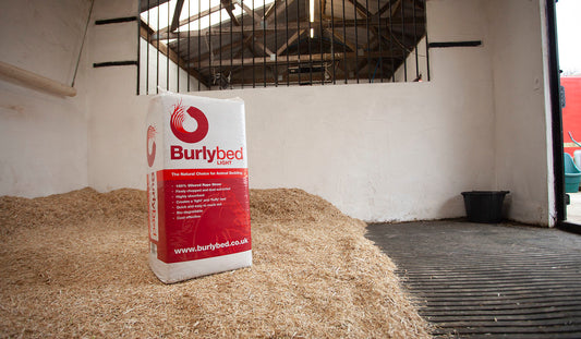 Burly Bed Light (Rape Straw)