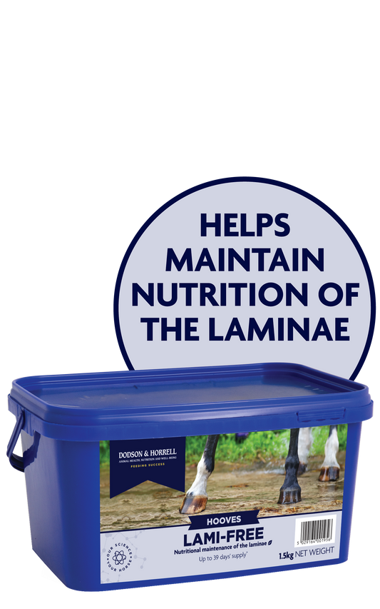 Dodson & Horrell Lami Free 1.5kg
