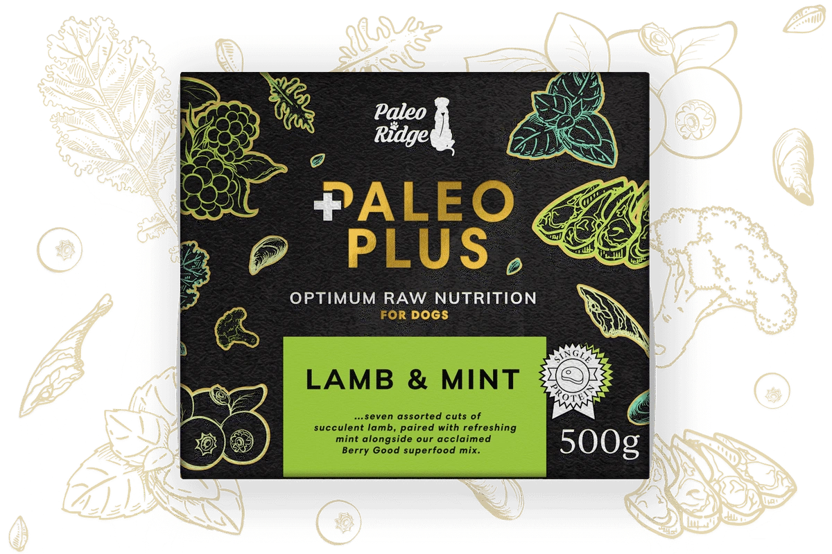 Paleo Plus Lamb and Mint 500g