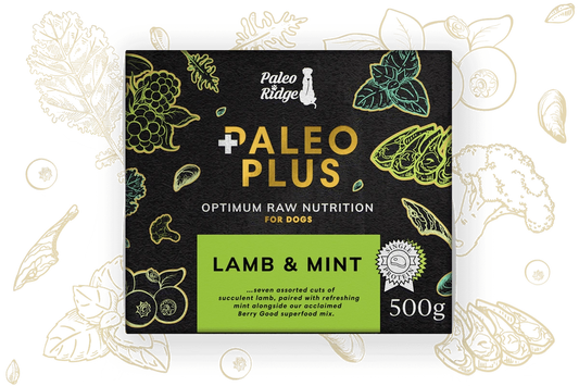 Paleo Plus Lamb and Mint 500g