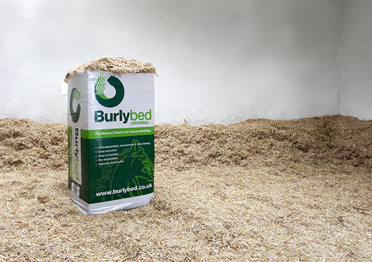 Burly Bed Original (Miscanthus)