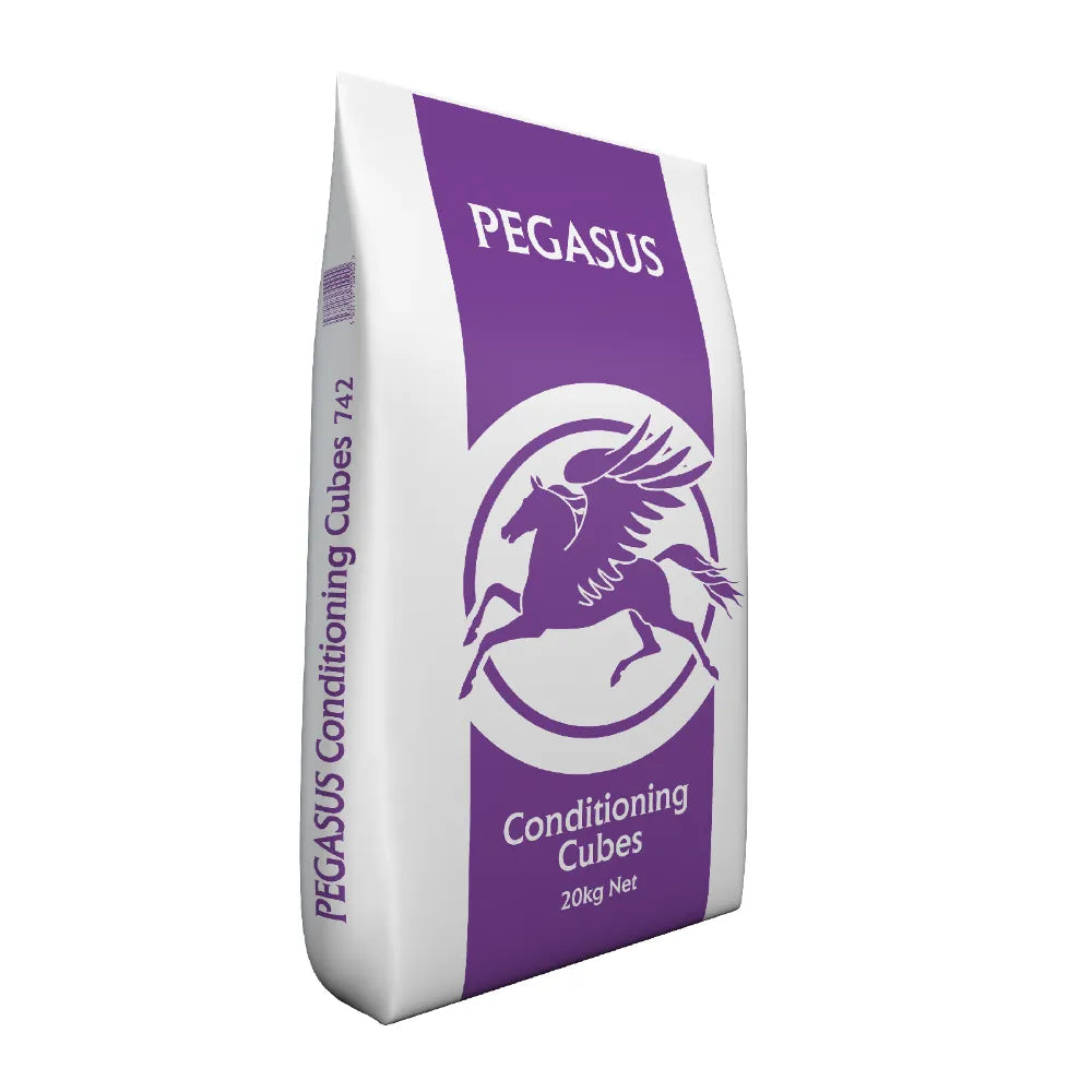 Pegasus Conditioning Cubes 20kg