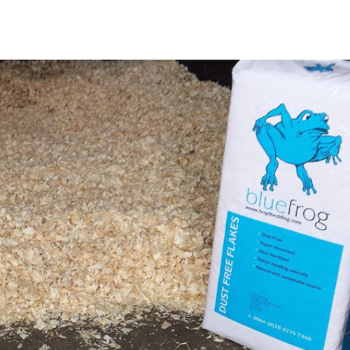 Blue Frog Shavings